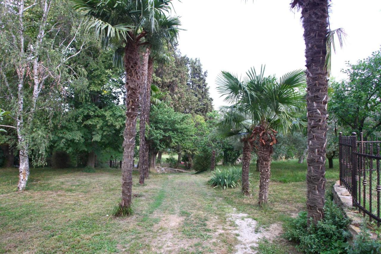 Roxor Portoroz